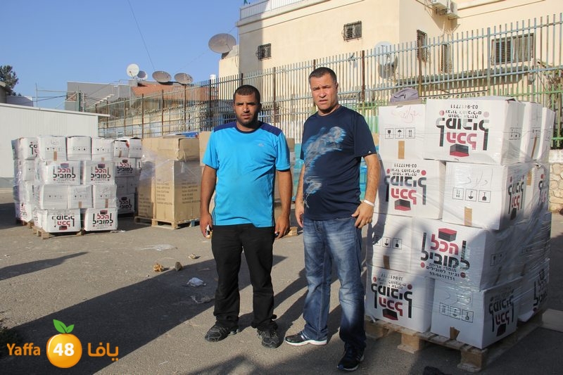 sha7ena ludi31 (23).JPG